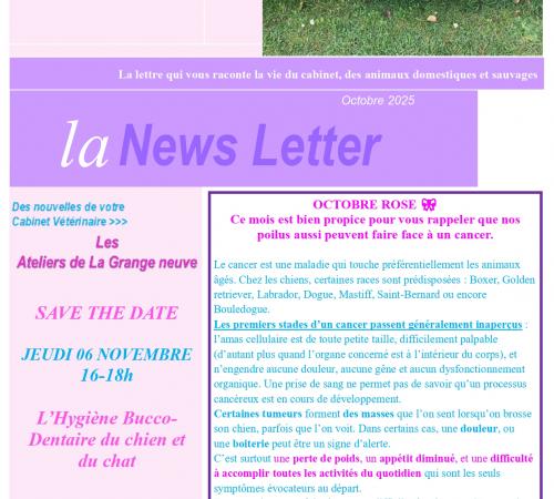 Cabinet de la Grange-Neuve